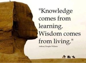 knowledge comes from learning, wisdom comes from living